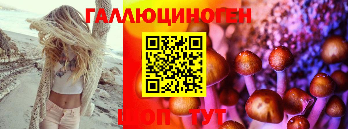 Псилоцибиновые грибы GOLDEN TEACHER  Вход с VPN  Аргун 