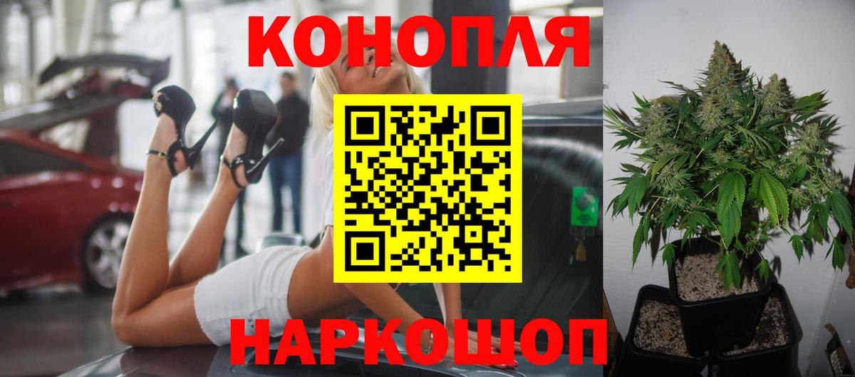Канабис конопля  Вход с VPN  Марихуана план  Шишки марихуана тримм  Аргун 